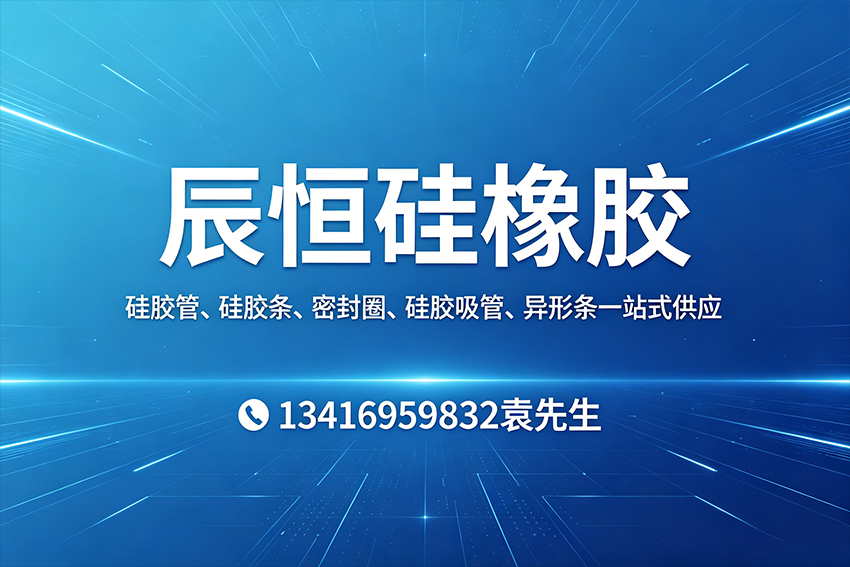 辰恒硅橡胶揭阳线上分站